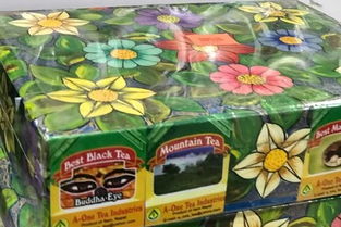 尼泊尔根杰机场