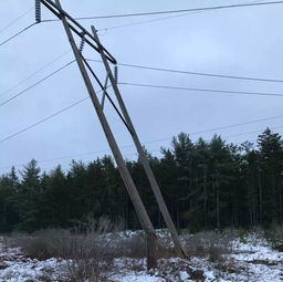 哈利法克斯·斯坦菲尔德国际机场