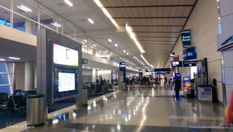 达拉斯机场