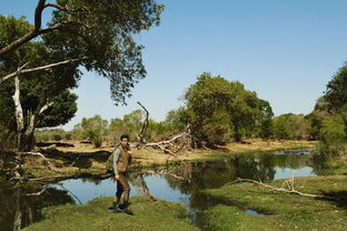 沙卡王国际机场