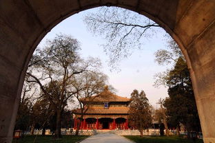 北京孔庙