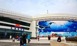 北京海洋馆