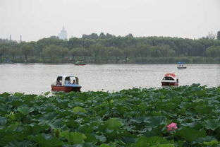 南湖生态风景区