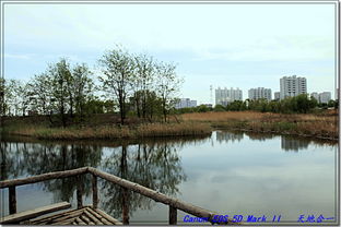 汾河湿地公园