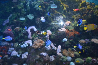 大连老虎滩海洋公园