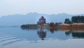 陆水湖风景区