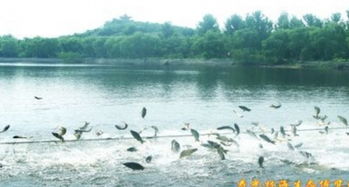 寿光林海生态博览园