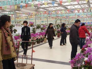 青岛市蔬菜科技示范园