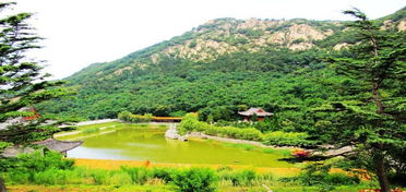 大基山森林公园