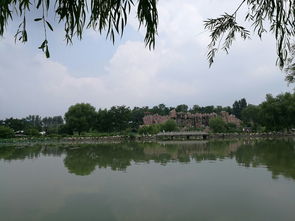 中原绿色庄园景区