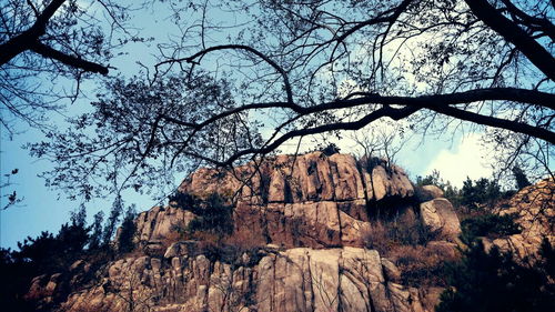 珠山国家森林公园