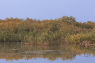 农垦当壁镇旅游区