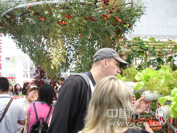 北大荒集团北大荒现代农业园