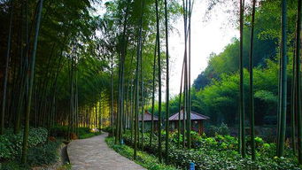 宜兴竹海风景区