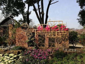 无锡梅园横山风景区