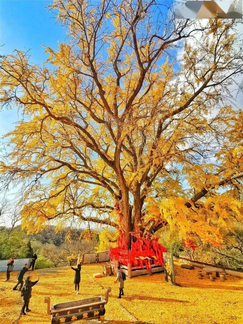 圣水观风景名胜区