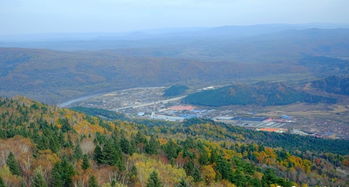 伊春兴安森林公园