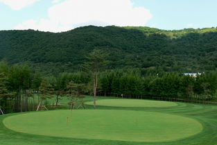 净月潭国家森林公园