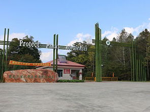 凉水国家级保护区