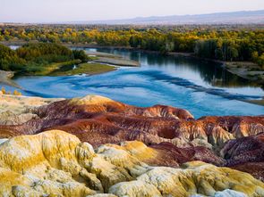 黑马生态科技园