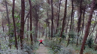 重庆白市驿森林公园