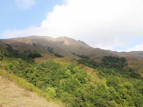 天马山生态旅游景区