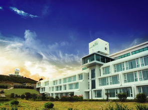 天泰高尔夫乐活酒店-天然海水温泉