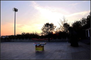 济南百里黄河风景区东区