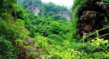 龙潭国家森林公园