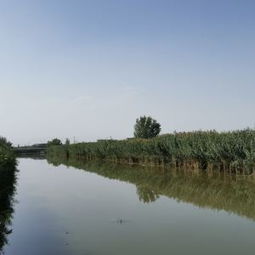 新疆库尔勒莲花湖旅游区