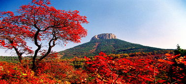 抱犊崮国家森林公园