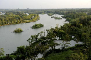 白浪绿洲湿地公园