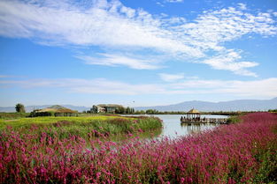 张掖国家湿地公园