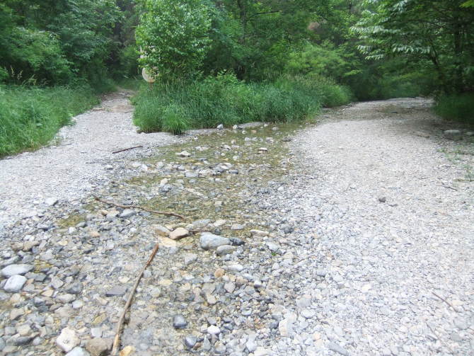 山涧里的小溪 山涧里的小溪