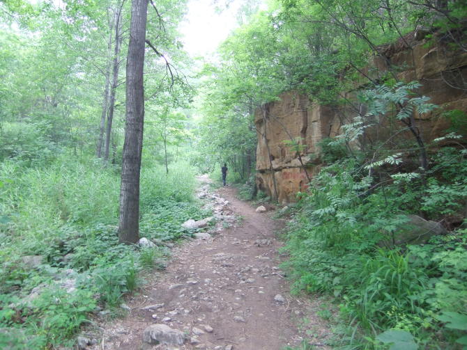 小径深深~~~ 小径深深~~~