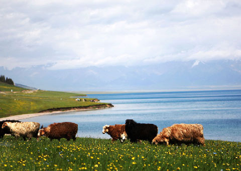 赛里木湖 赛里木湖