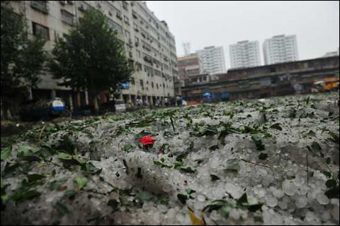 河南省洛阳市嵩县降下的冰雹 河南省洛阳市嵩县降下的冰雹