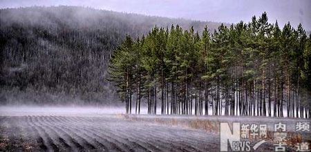 漂亮的冬景 漂亮的冬景