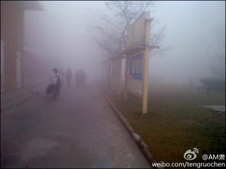 上海昨日出现大雾（图片来源：新浪微博）