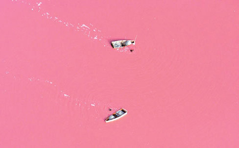 塞内加尔玫瑰湖 塞内加尔玫瑰湖