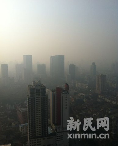 申城的早晨。新民网记者 李欣 现场回传 申城的早晨。新民网记者 李欣 现场回传