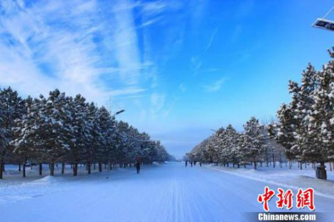 苍翠的青松宛如宝塔,纹丝不动的挺立着,高傲地接受着寒冬白雪地洗礼。王宏山 摄 苍翠的青松宛如宝塔,纹丝不动的挺立着,高傲地接受着寒冬白雪地洗礼。王宏山 摄