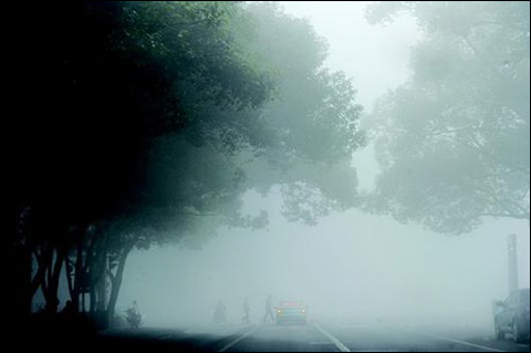 武汉31日大雾弥漫 17条高速封闭航班大面积延误 武汉31日大雾弥漫 17条高速封闭航班大面积延误