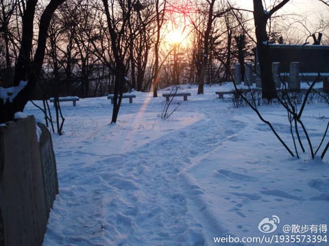 1月31日辽宁丹东出现降雪(图片来源:新浪微博) 1月31日辽宁丹东出现降雪(图片来源:新浪微博)