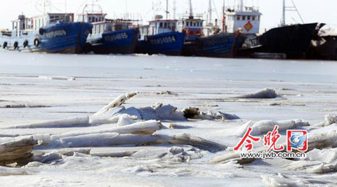 北塘海面部分被海冰困住的渔船(兰飞 摄) 北塘海面部分被海冰困住的渔船(兰飞 摄)